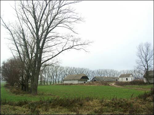 Няньково. В деревне 