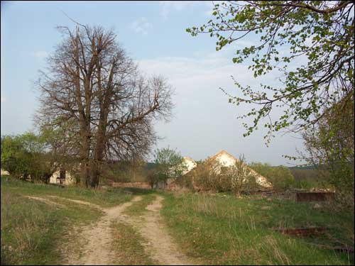 Zarzeczany. Dwór «Choroszewicze III»