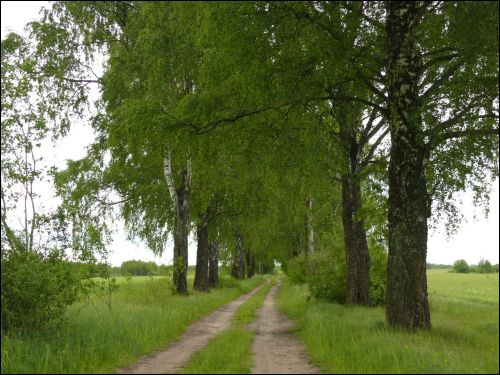 Rackiški. Landscapes 