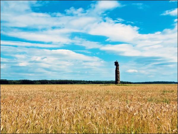  -  Мемарыяльная калона. 