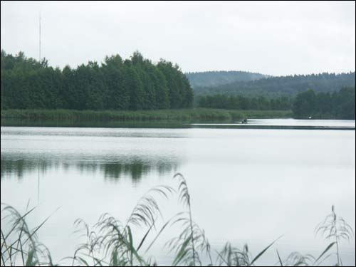 Albiarcin (Słonim). Landscapes 