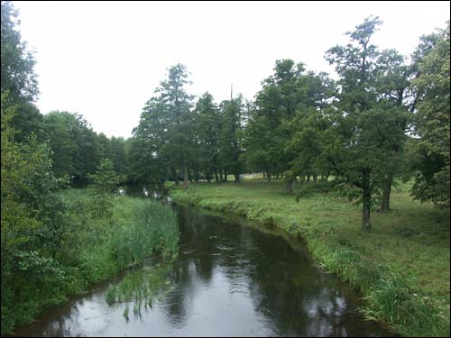 Albiarcin (Słonim). Landscapes 