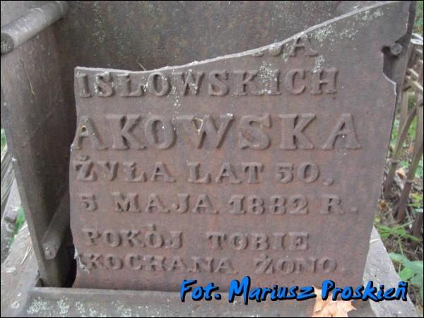  - Cmentarz stary katolicki. 