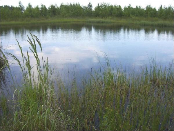 Daŭhiałaŭščyna.  Landscapes 