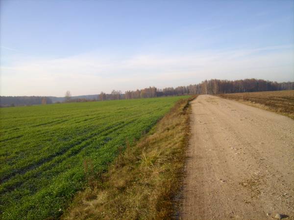  - Krajobrazy . Dowgiałowska Droga.