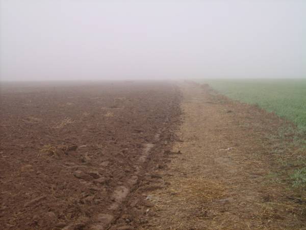  - Krajobrazy . Tuman