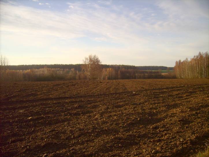  - Krajobrazy . Okolice wioski Dowgiałowszczyzna od strony kolonii sobotnickiej.