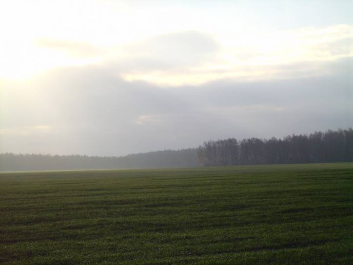  - Krajobrazy . Okolice wioski Dowgiałowszczyzna od strony kolonii sobotnickiej.