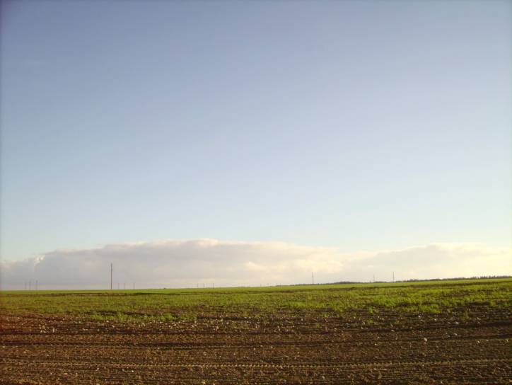  - Krajobrazy . Okolice wioski Dowgiałowszczyzna od strony kolonii sobotnickiej.