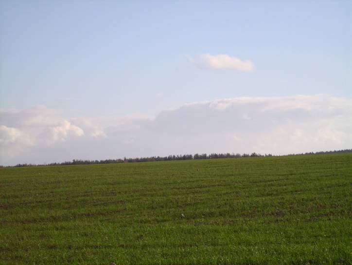  - Krajobrazy . Okolice wioski Dowgiałowszczyzna od strony kolonii sobotnickiej.