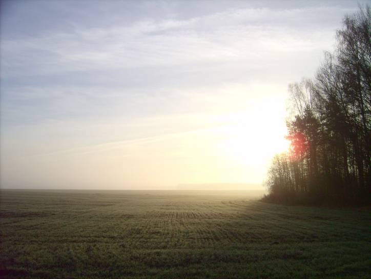  - Krajobrazy . Okolice wioski Dowgiałowszczyzna od strony kolonii sobotnickiej.