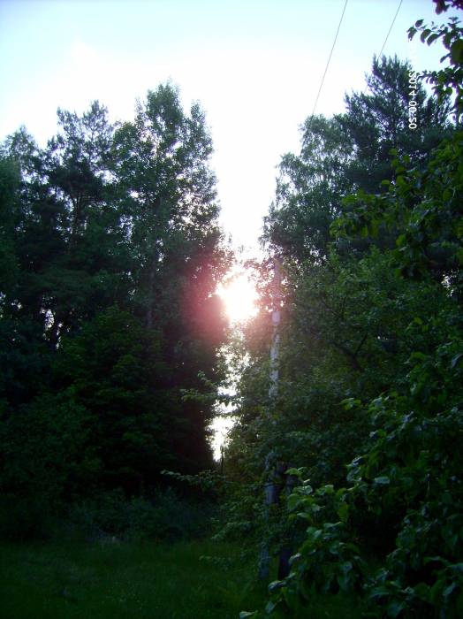  - Krajobrazy . W pobliżu chaty dziadka Jana na kolonii sobotnickiej koło Dowgiałowszczyzny. 