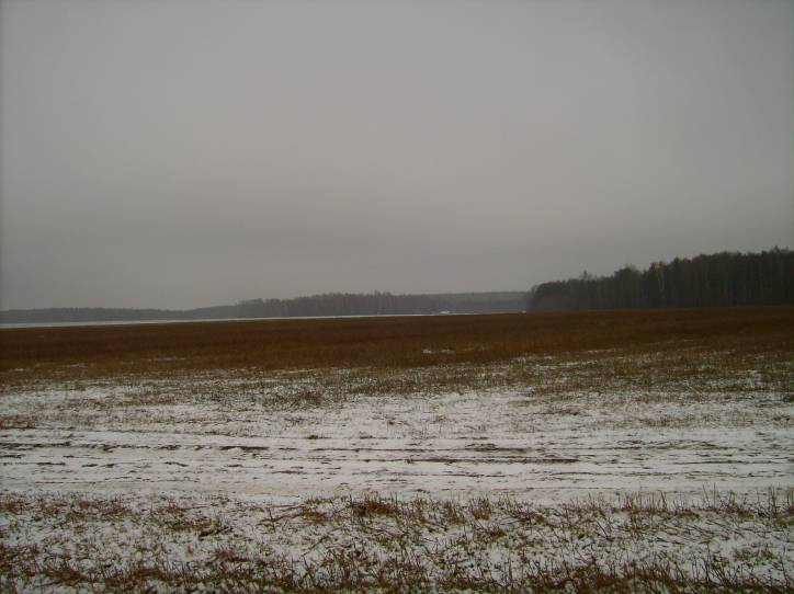  - Krajobrazy . Okolica kolonii sobotnickiej koło wioski Dowgiałowszczyzna.