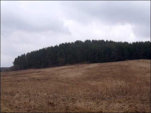  - Городище . 