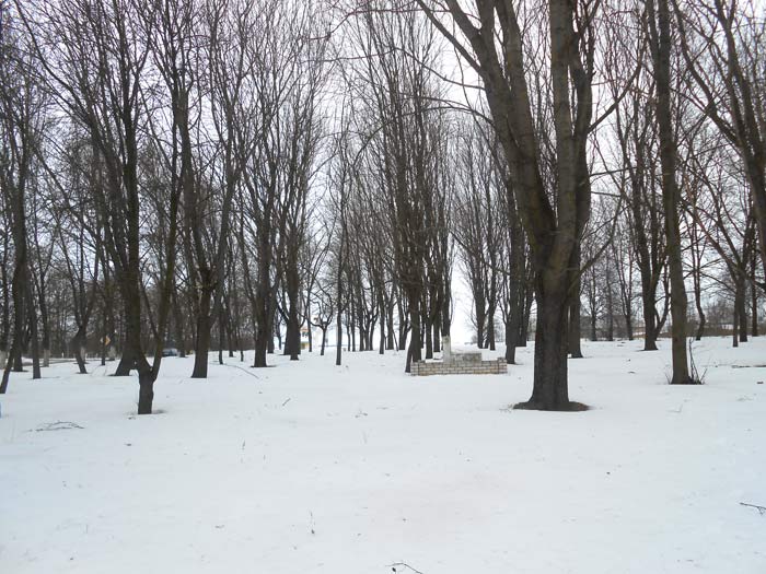 Новая Мышь. Кладбище еврейское