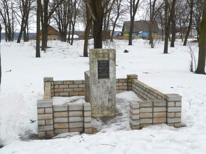 Новая Мышь. Кладбище еврейское