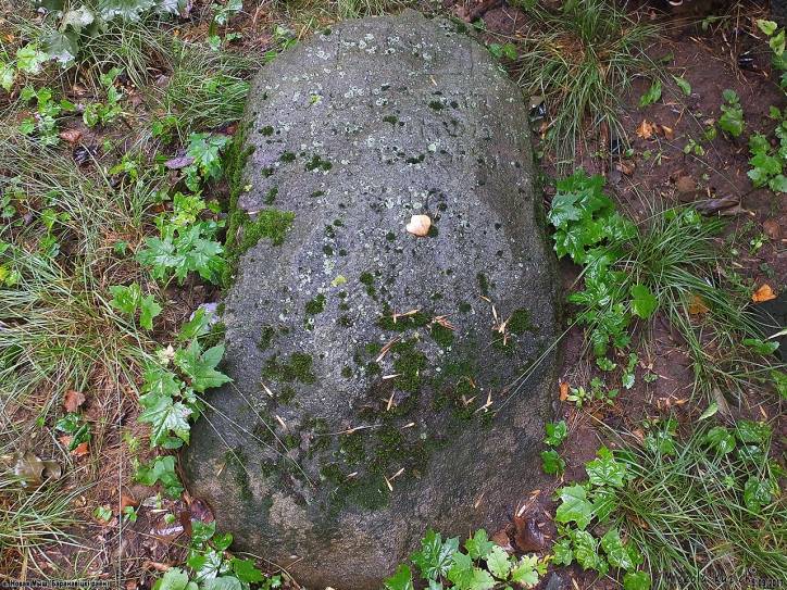  - Кладбище еврейское. 