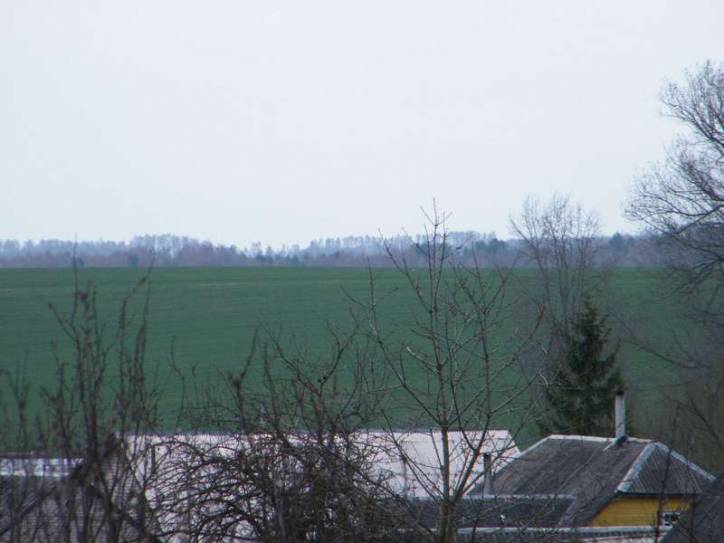 Adelsk. In the village 