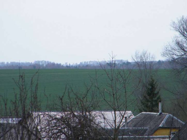 Adelsk. In the village