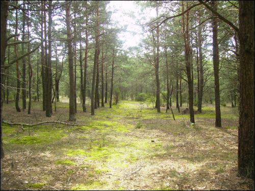 Збляны. Краявіды 