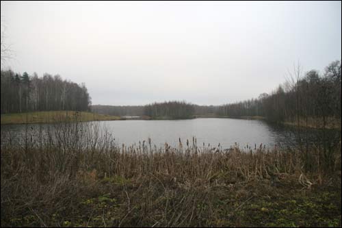 Пацыняны (Палонка). Краявіды 