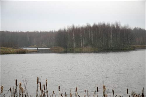 Pacyniany (Pałonka). Landscapes 
