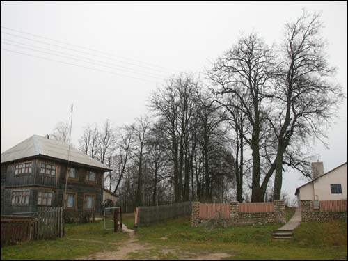 Пацыняны (Палонка). Краявіды 