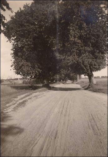 Ščorsy. Old photos of the village 