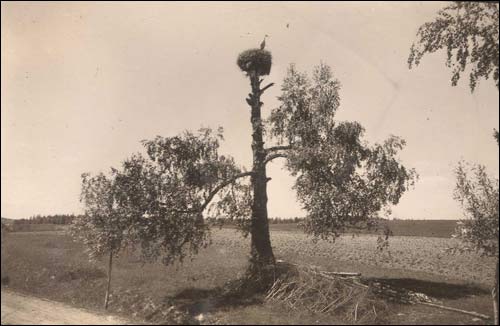 Ščorsy. Old photos of the village 