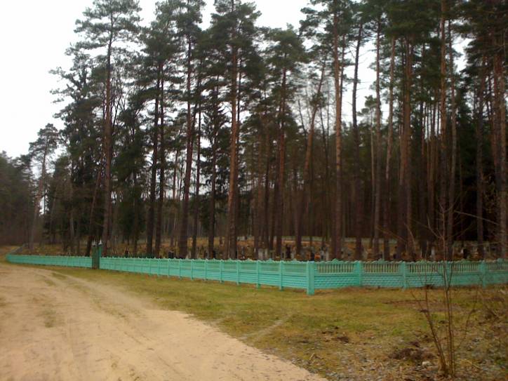  - Cmentarz tatarski (Mizer). 