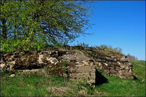 Vasilevičy. Defensive Fortifications 