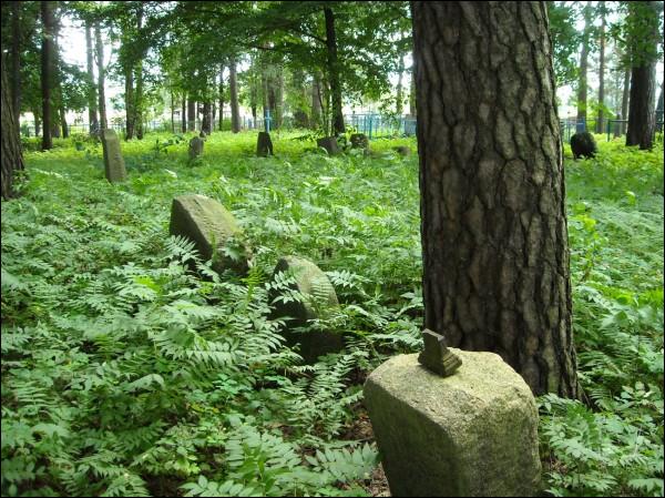  - Костёл Святого Иосифа. Старое кладбище возле костёла