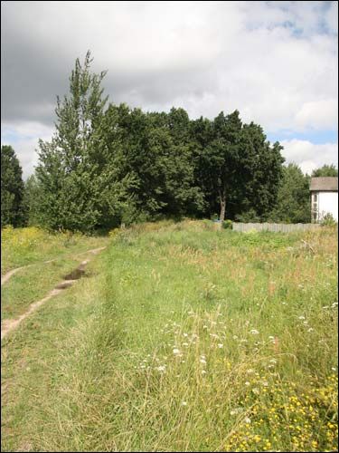 Вавуличи (Дубовка). Пейзажи 