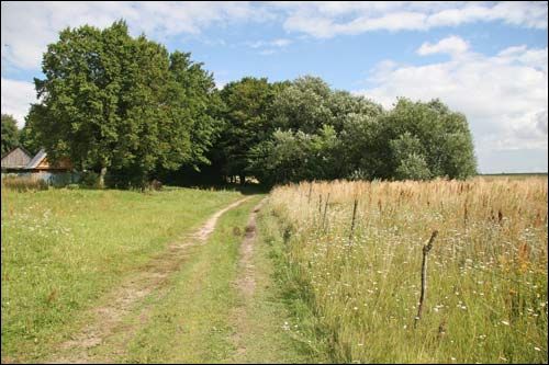 Вавуличи (Дубовка). Пейзажи 