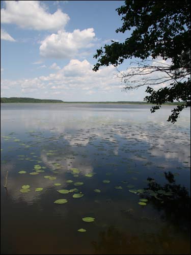 Čačevičy. Landscapes 