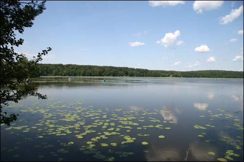 Čačevičy. Landscapes 