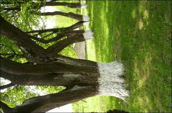  - Ulice miasta . 
