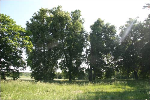  - Manor of Żyliński. 