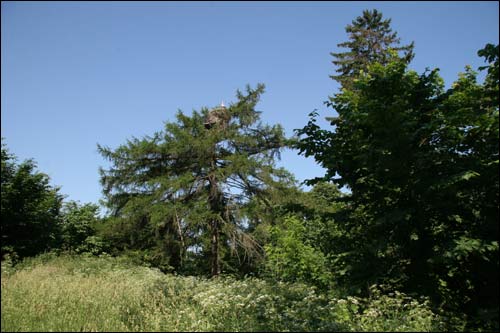  - Manor of Żyliński. 