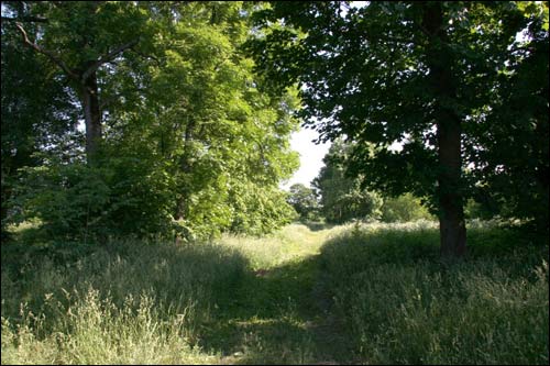  - Manor of Żyliński. 