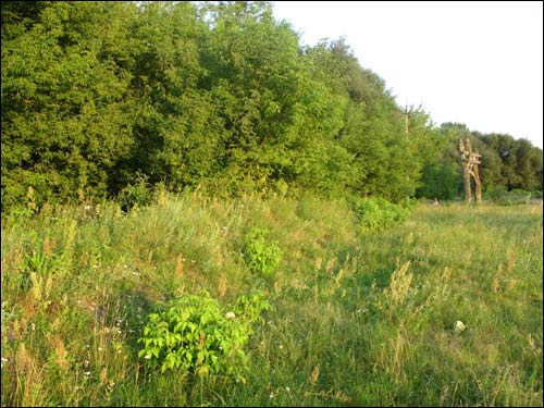  - Site of ancient castle . 