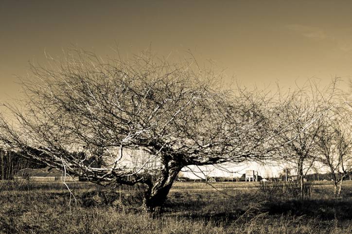  - Landscapes . 