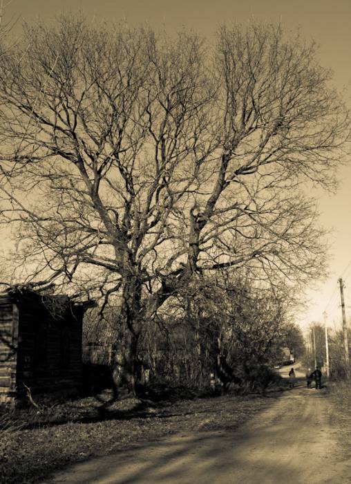  - Landscapes . 