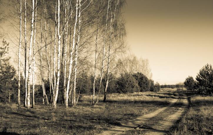  - Landscapes . 