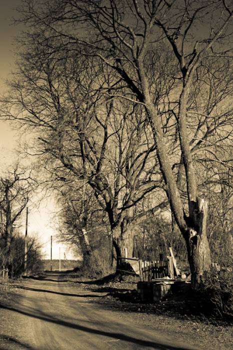  - Landscapes . 