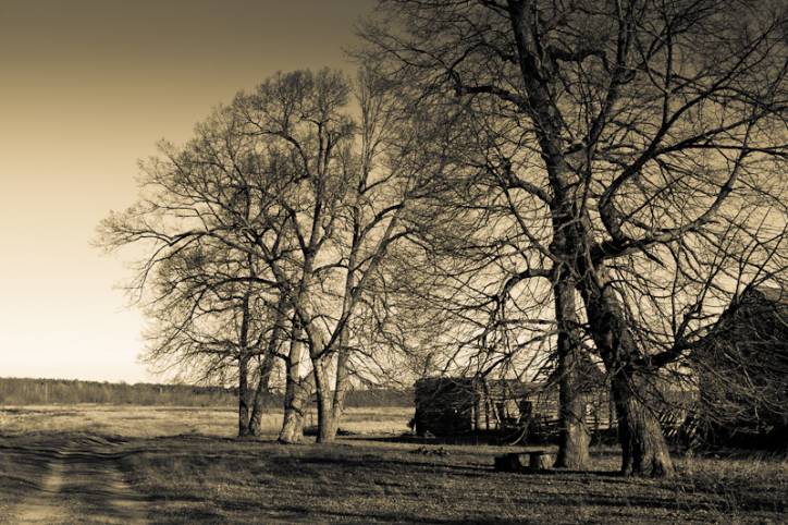  - Landscapes . 