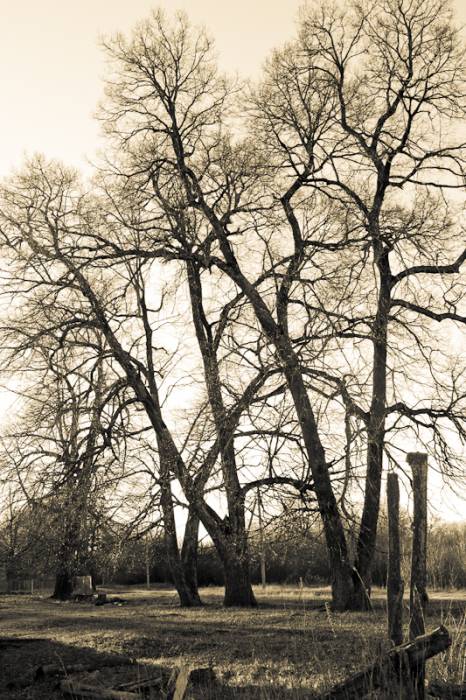  - Landscapes . 