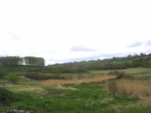  - Landscapes . 