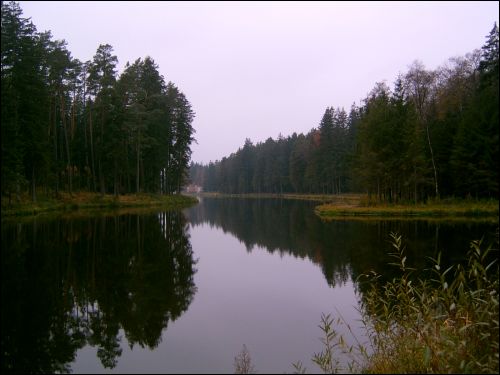 Павлиново. Пейзажи 