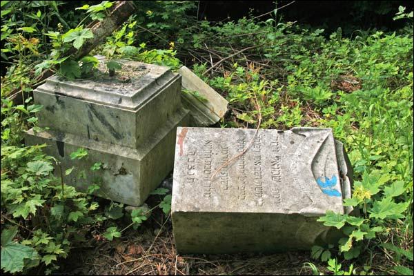 Могилёв. Кладбище еврейское